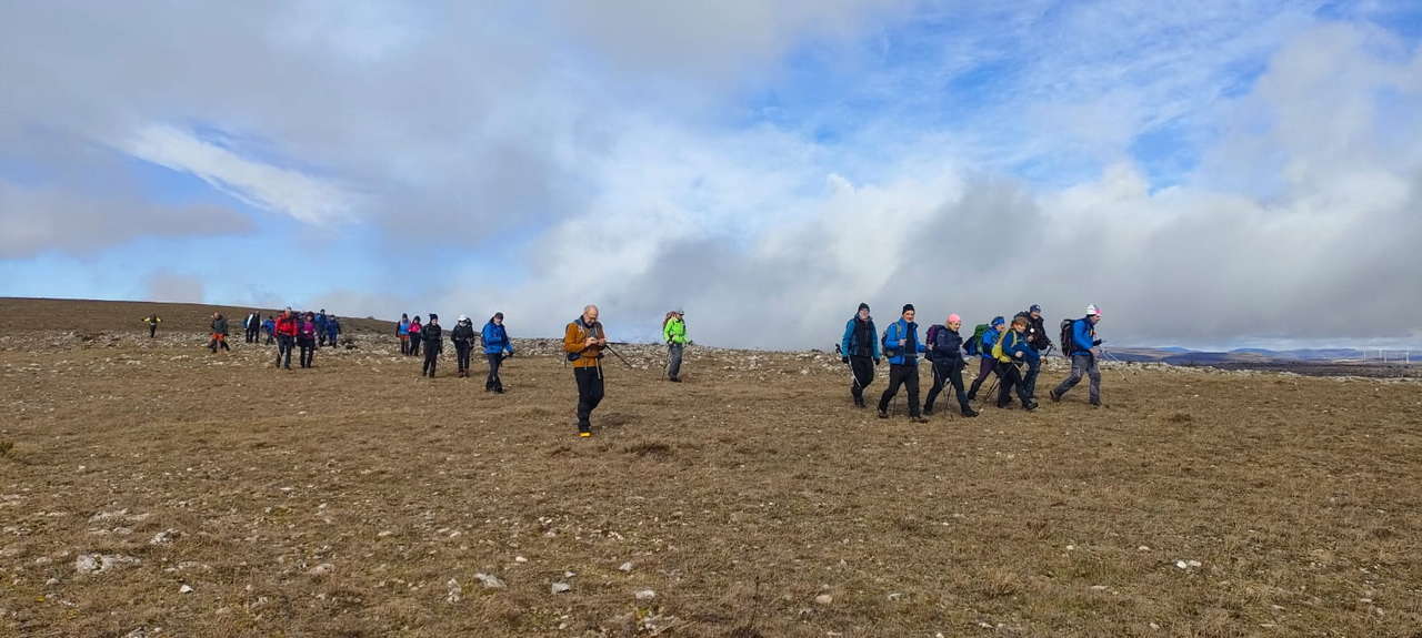 WhatsApp Image 2026-02-10 at 14.47.46 (1)